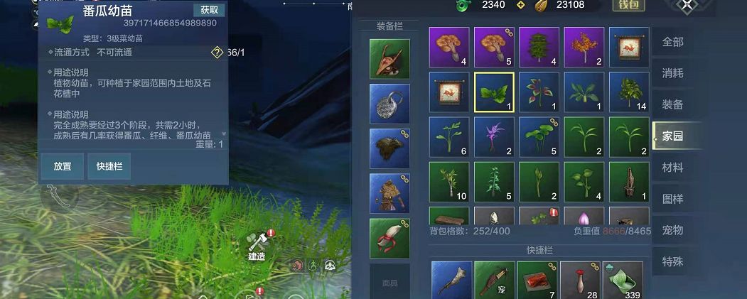 妄想山海番瓜是几级菜截图