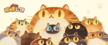 【活动】端午礼盒大派送！欢迎来到猫咪公馆~