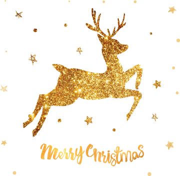 1.2.5版本更新公告