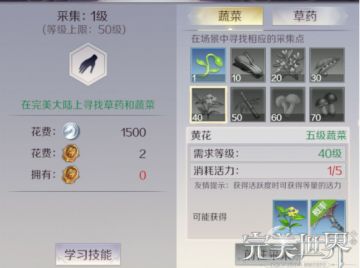 生活技能我们该主要提升那一项？