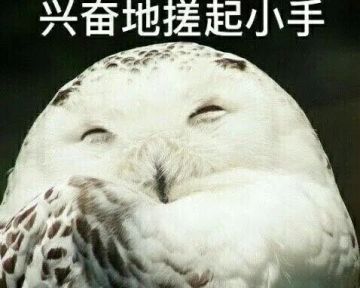 江湖处处有惊喜，这些全新奇遇竟然还送……