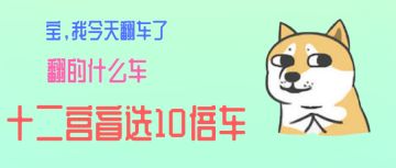 12月30日 运营日记