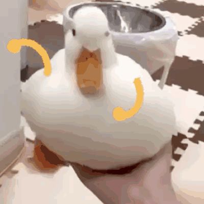 氵联机截图