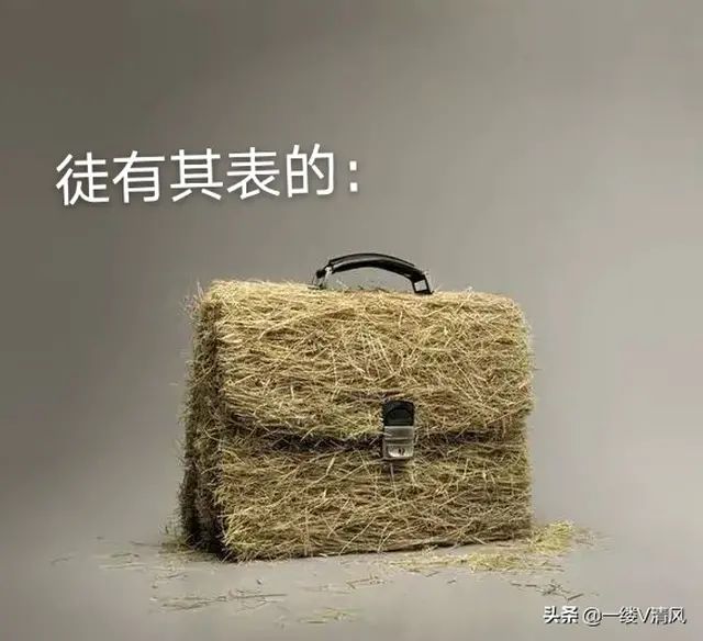 0命卢姥爷5命烟绯哪个值得练?截图