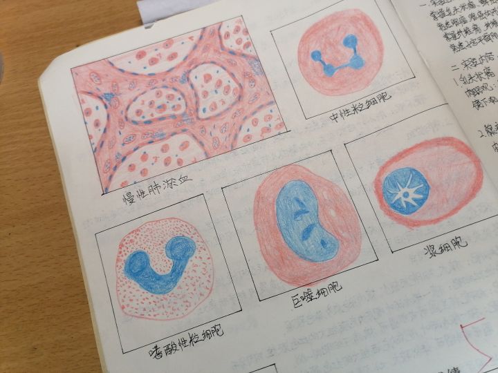 病理解剖逼疯孩子截图