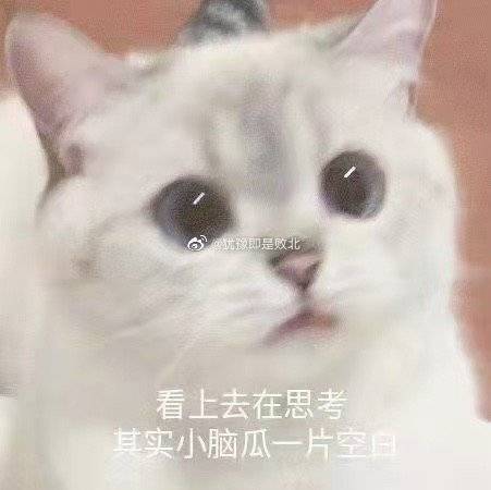 游戏卡住了截图
