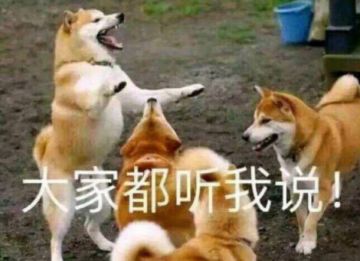 第二弹来了，准备好美照了吗？