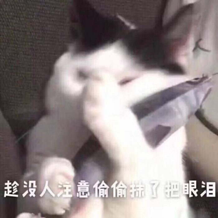 被绝境这个属性坑到了截图