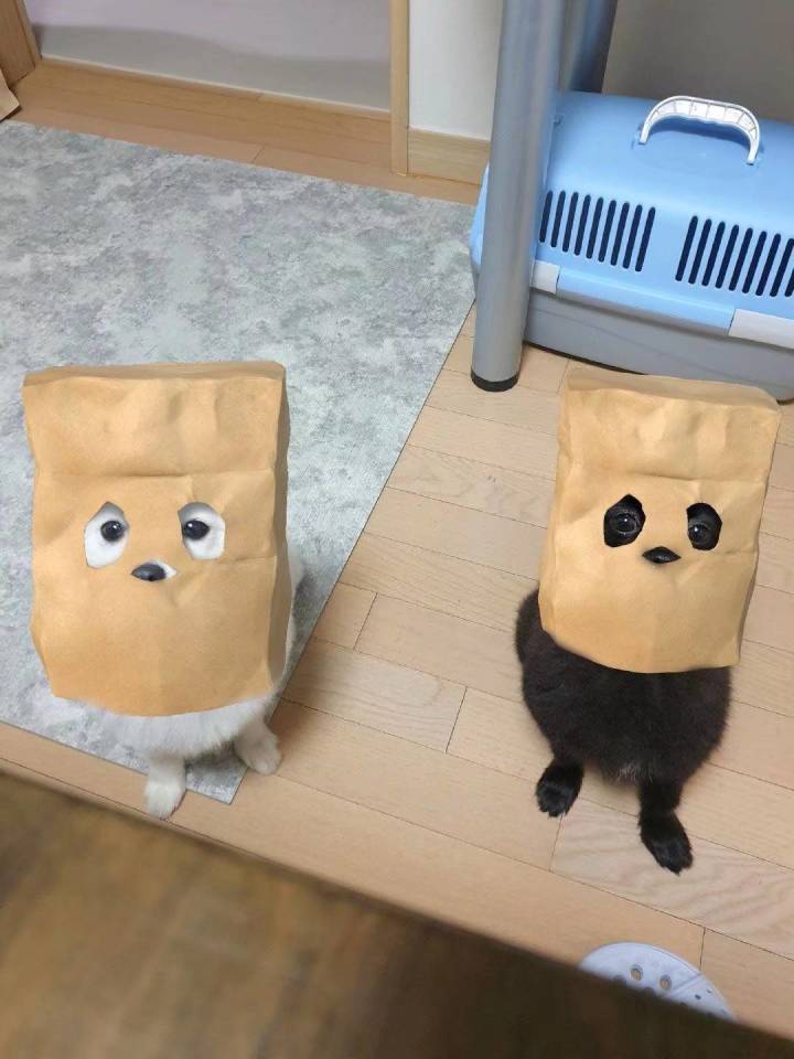 求个资格截图