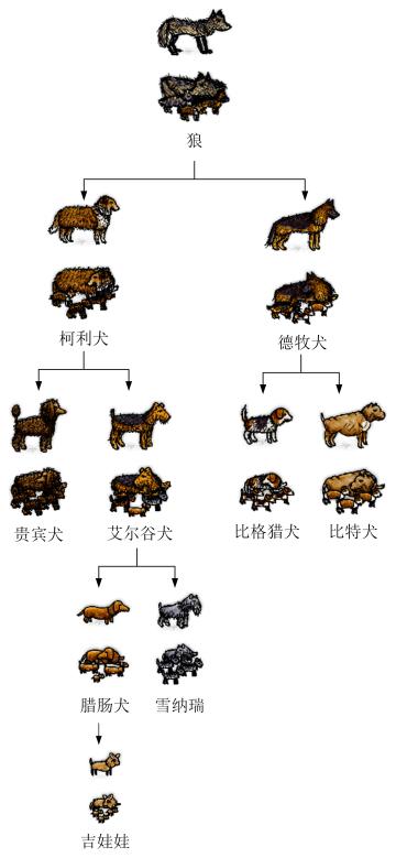 养狗攻略（图文并茂）