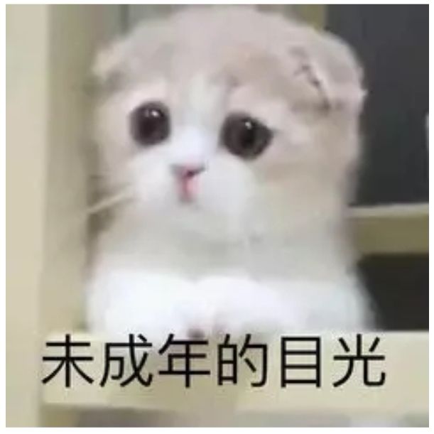 新人玩家入坑截图