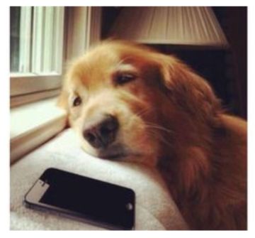 关于3.6的更新问题，希望大家在这里统一反馈吧。