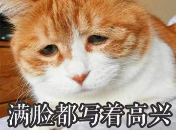 快来这里找我！《万灵山海之境》客服引导