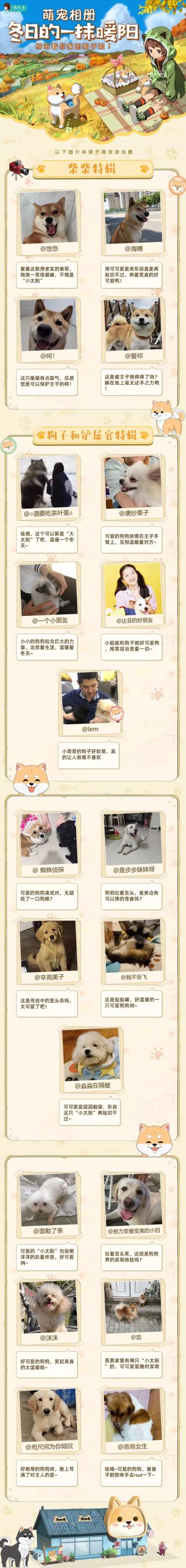 【萌宠相册】冬日的一抹暖阳|快来看你家的狗子啦！