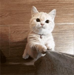 王牌竞速X百度输入法，换上皮肤来一场指尖竞速吧！