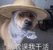 土弓怎么打70土弓进化石本（土弓攻略）截图