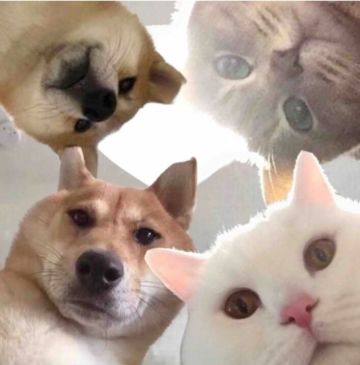 保姆级教学～民以食为天（五）