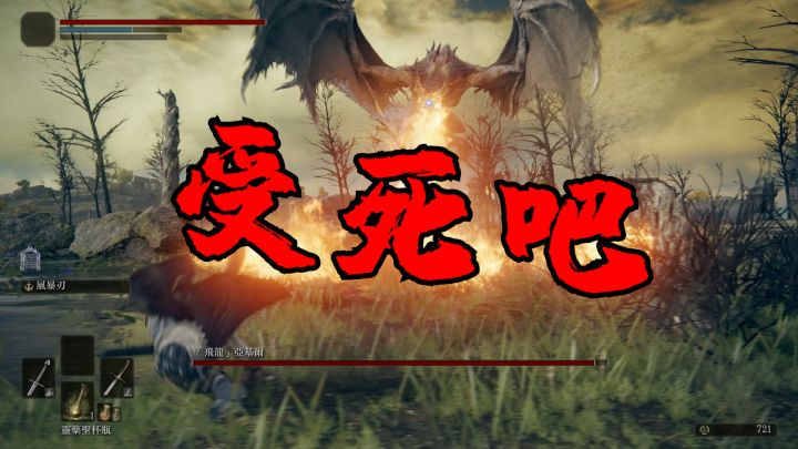 《艾尔登法环》PS5试玩 :魂系新人、动作苦手初次挑战宫崎英高的阴谋 !!!截图