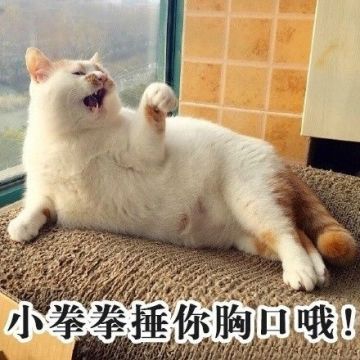 【拯救单身汪】仙侠江湖需不需要麒麟臂？