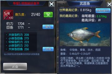 钓鱼王者综合吃食怎么提升 钓鱼王者吃食算法规则