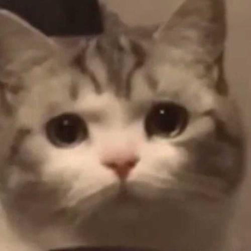 寻小团体截图