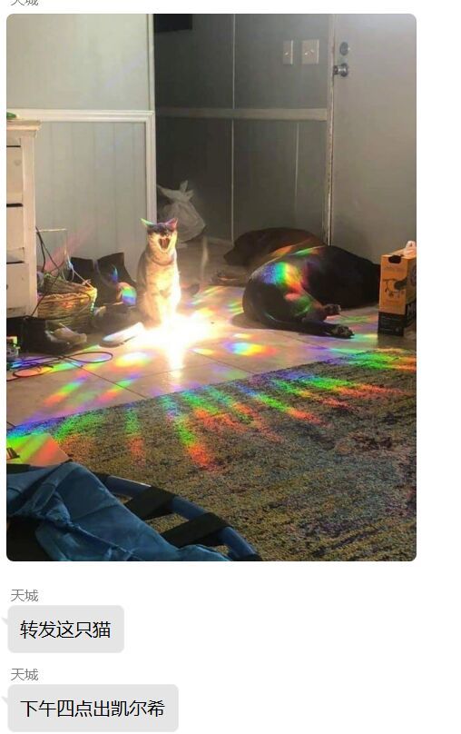 玄学一波走起。截图