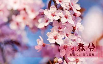 春意正浓 说说你和《玛法降魔传》NPC那些事儿