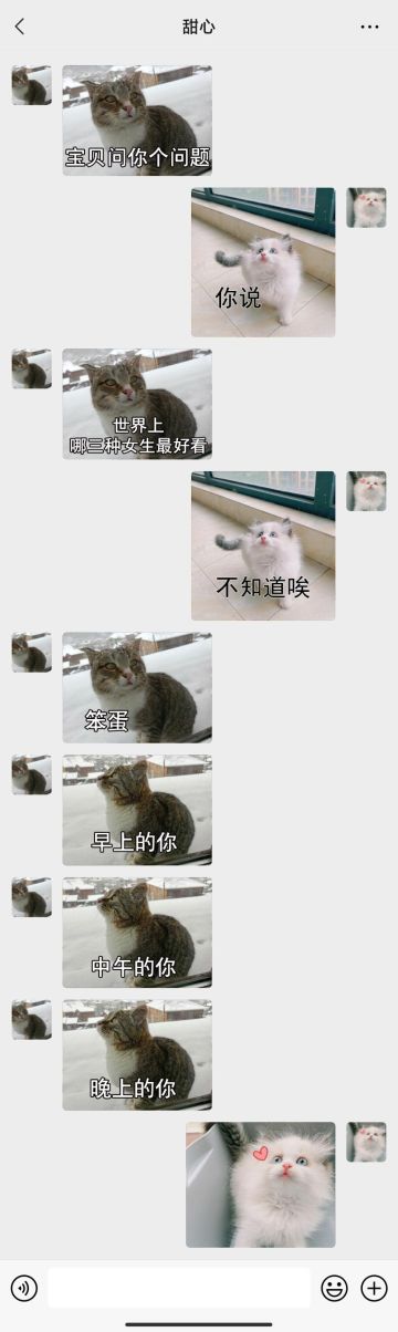 【表情包专栏】最美不过小甜心，喵星人的土味情话