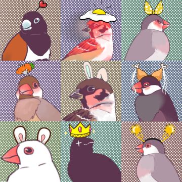 萌出鼻血 鸟儿教你九宫格自拍