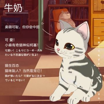 猫咪也“内卷”？谁最适合穿熊本熊限定猫咪时装？