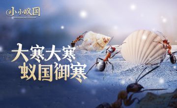 大寒到了，春天近了，统领们都准备好迎接新春了吗？