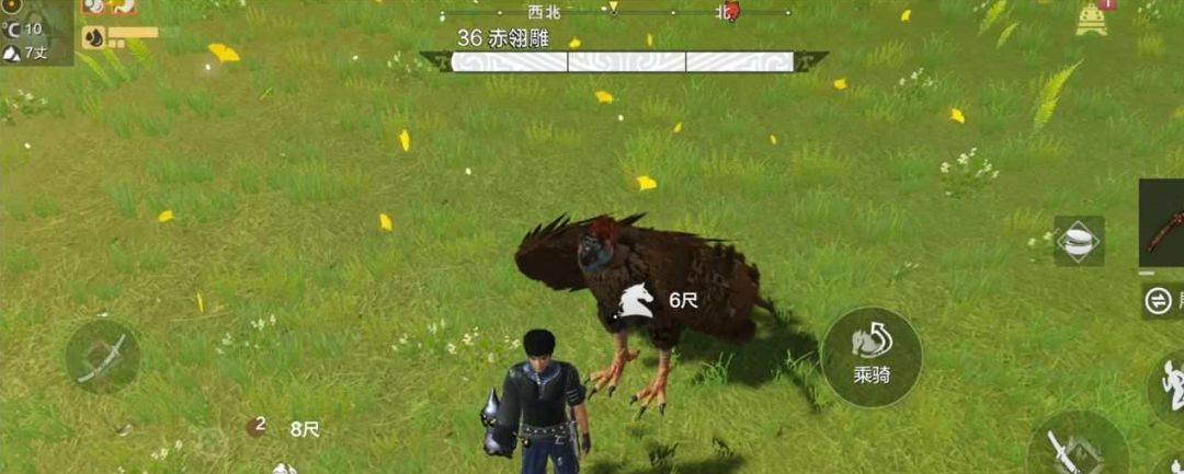 妄想山海秃鹫怎么抓截图