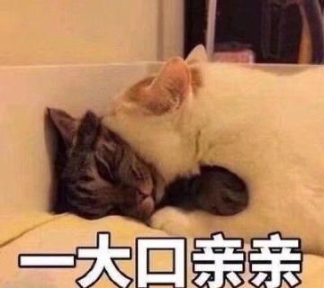 【二测结束公告】