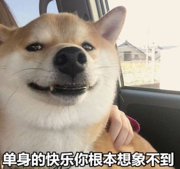 嗯~大家七夕快乐哇！又是一年“孤寡”的七夕o(╥﹏╥)o