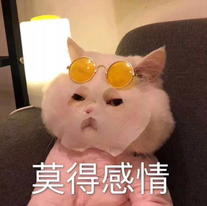 抢不到帝君,今年打算坐化了,有点累截图