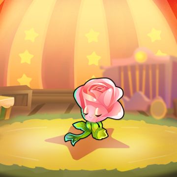 嘘~~~传说有一支神秘马戏团队伍 将在本周五出现...