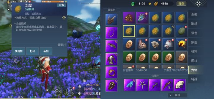 就是这个蛋它稀有吗截图