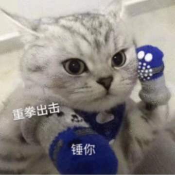 #狼人夜话# 当你抽到哪个身份时最有恃无恐？ ​​​​