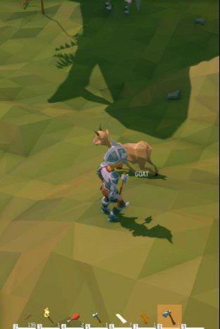 《艾兰岛》出生岛上的动物集合