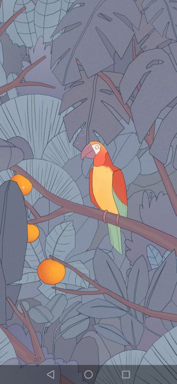 谢谢你，我的鹦鹉