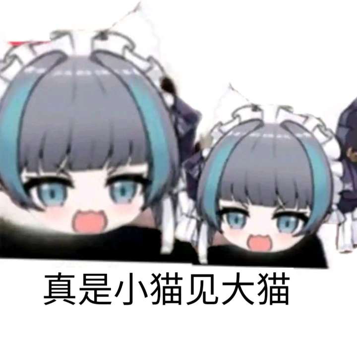 撸猫猫撸猫猫(｢･ω･)｢截图