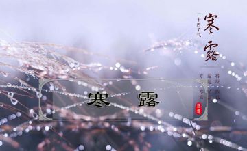 《大侠挂个机》节气-寒露