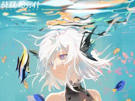 《战双帕弥什》丽芙的生日通讯接入