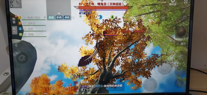 策划出来挨打,上树龙?截图