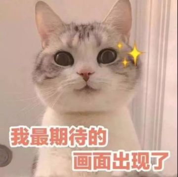 想来看看你们和猫咪的缘分嘛？