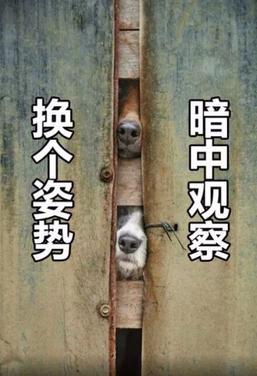 《生存几何》主要角色闪亮登场！✿✿ヽ(°▽°)ノ✿