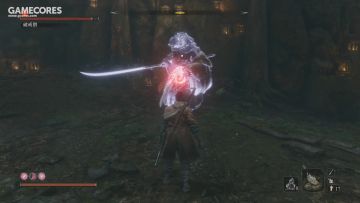 幻影破戒僧无伤击杀 无义手无道具无主动技能