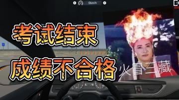 好端端的《驾考模拟器》怎么就被玩成了泄愤作？