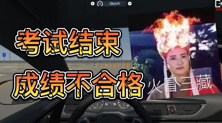好端端的《驾考模拟器》怎么就被玩成了泄愤作?截图