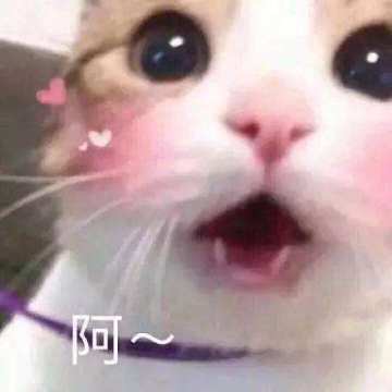 【无尽战记】血继限界！预约启动ing！